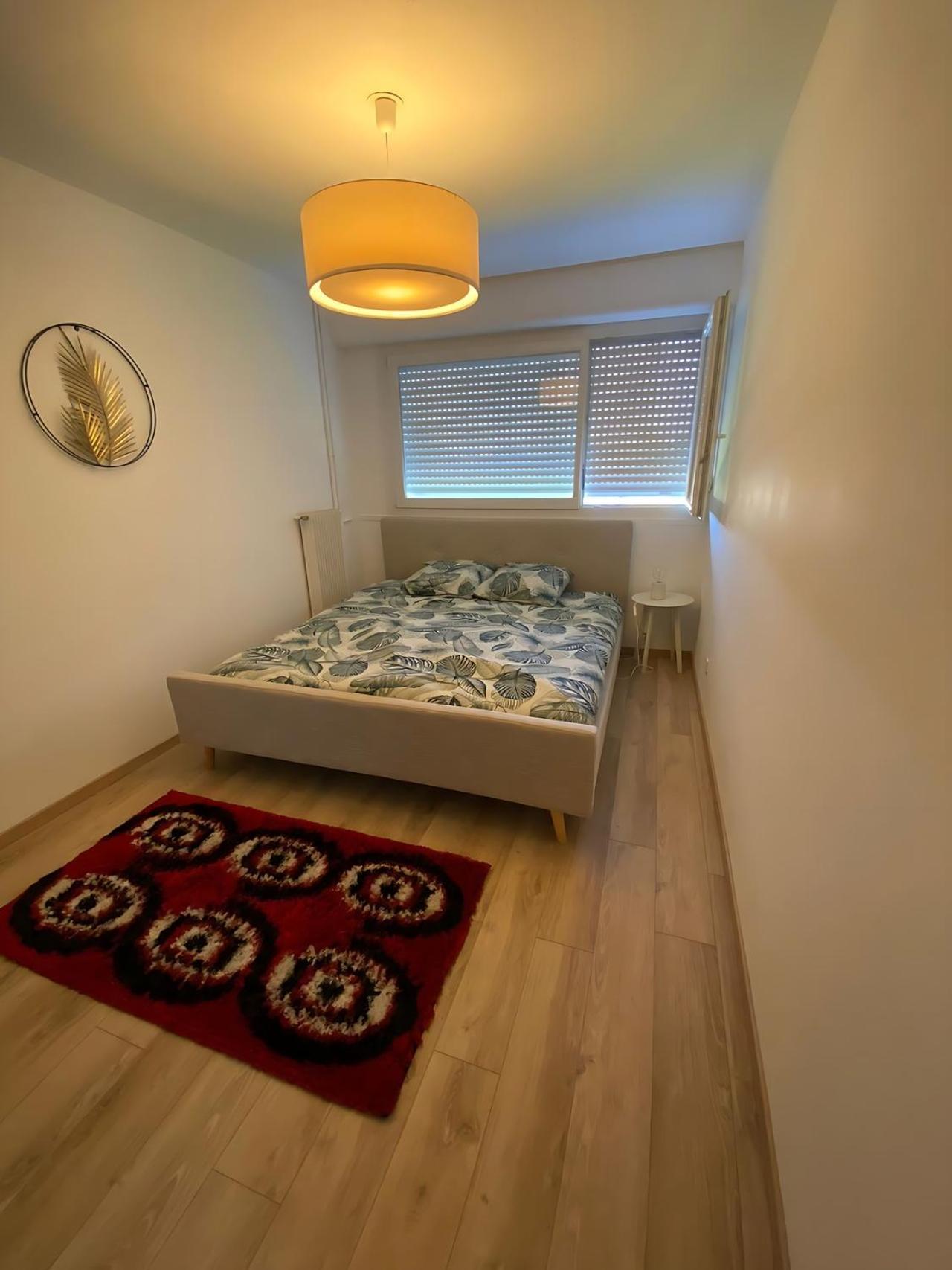Vue Du Doubs T4 Cosy Tres Bien Situe Apartment Audincourt Luaran gambar